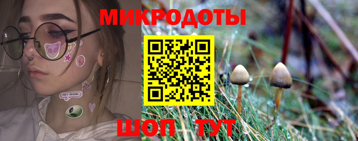 Галлюциногенные грибы Psilocybine cubensis Архангельск