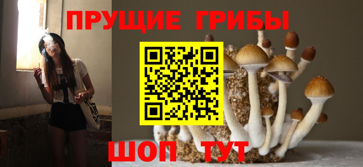 Галлюциногенные грибы GOLDEN TEACHER  Вход с VPN  Архангельск 